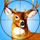 Deer Hunter